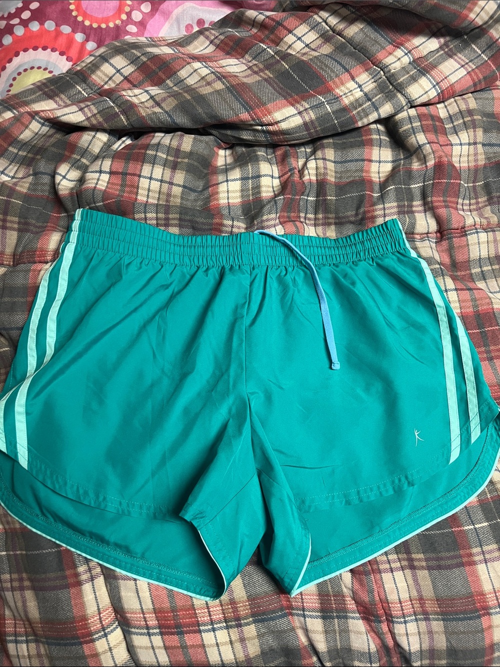 Danskin Teal Athletic Shorts with Light Aqua Trim